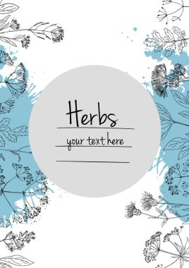 Bitkiler çiçek vektör renk çizgisi. Mesaj için yer var. Otların bir taslağıyla birlikte şablon. Görüntü