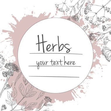 Bitkiler çiçek vektör renk çizgisi. Mesaj için yer var. Otların bir taslağıyla birlikte şablon. Görüntü