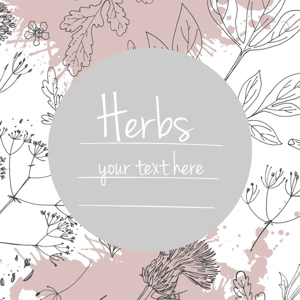 Hierbas Flores Vector Línea Color Espacio Para Texto Plantilla Con — Archivo Imágenes Vectoriales