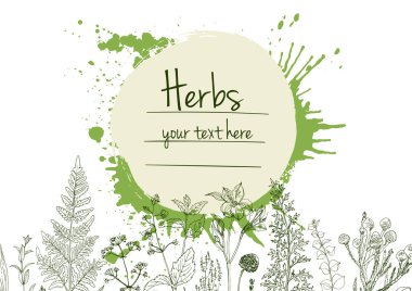 Bitkiler çiçek vektör renk çizgisi. Mesaj için yer var. Otların bir taslağıyla birlikte şablon. Görüntü