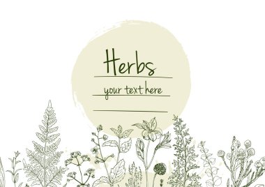 Bitkiler çiçek vektör renk çizgisi. Mesaj için yer var. Otların bir taslağıyla birlikte şablon. Görüntü