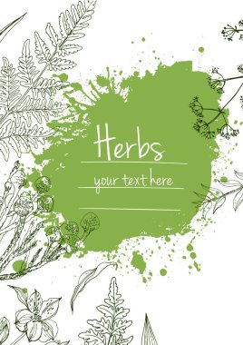 Bitkiler çiçek vektör renk çizgisi. Mesaj için yer var. Otların bir taslağıyla birlikte şablon. Görüntü
