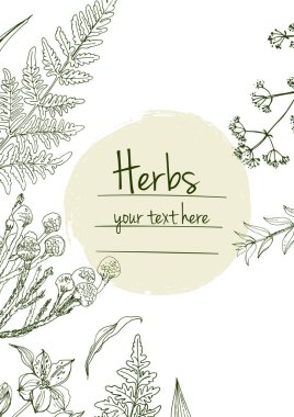 Bitkiler çiçek vektör renk çizgisi. Mesaj için yer var. Otların bir taslağıyla birlikte şablon. Görüntü