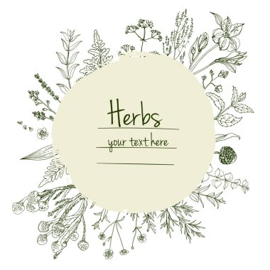 Bitkiler çiçek vektör renk çizgisi. Mesaj için yer var. Otların bir taslağıyla birlikte şablon. Görüntü