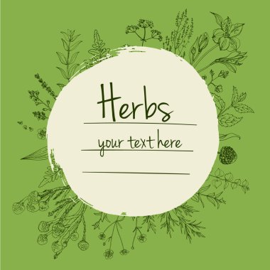 Bitkiler çiçek vektör renk çizgisi. Mesaj için yer var. Otların bir taslağıyla birlikte şablon. Görüntü