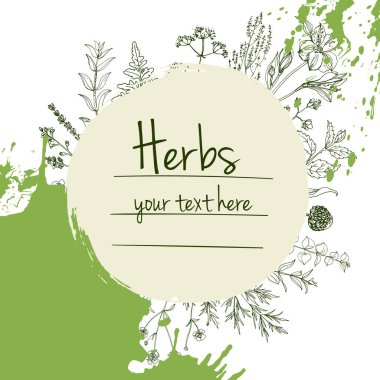 Bitkiler çiçek vektör renk çizgisi. Mesaj için yer var. Otların bir taslağıyla birlikte şablon. Görüntü