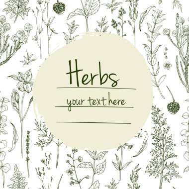 Bitkiler çiçek vektör renk çizgisi. Mesaj için yer var. Otların bir taslağıyla birlikte şablon. Görüntü