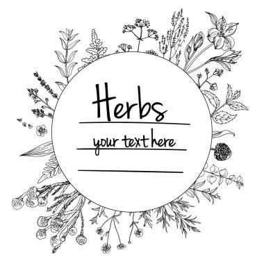 Bitkiler çiçek vektör renk çizgisi. Mesaj için yer var. Otların bir taslağıyla birlikte şablon. Görüntü