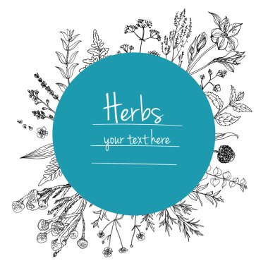 Bitkiler çiçek vektör renk çizgisi. Mesaj için yer var. Otların bir taslağıyla birlikte şablon. Görüntü