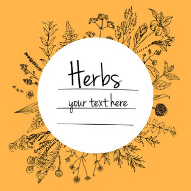 Bitkiler çiçek vektör renk çizgisi. Mesaj için yer var. Otların bir taslağıyla birlikte şablon. Görüntü