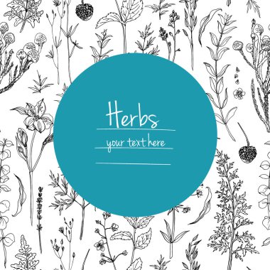 Bitkiler çiçek vektör renk çizgisi. Mesaj için yer var. Otların bir taslağıyla birlikte şablon. Görüntü