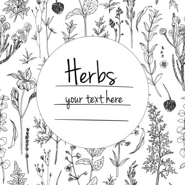Bitkiler çiçek vektör renk çizgisi. Mesaj için yer var. Otların bir taslağıyla birlikte şablon. Görüntü