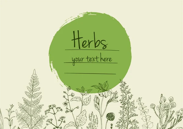 Herbes Fleurs Vecteur Ligne Couleur Espace Pour Texte Modèle Avec — Image vectorielle