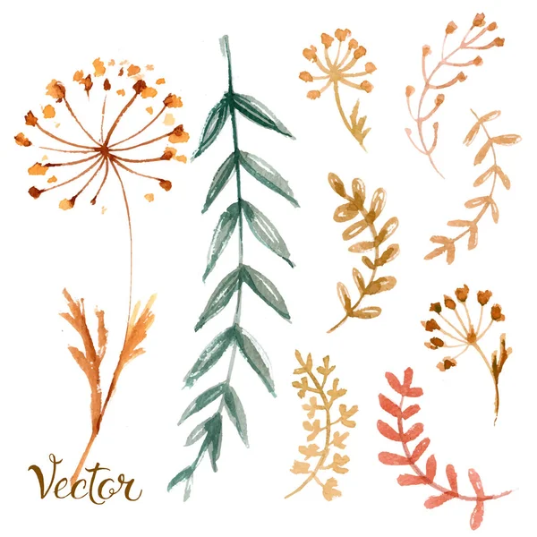 Set Flowers Painted Watercolor White Paper Sketch Flowers Herbs Wreath — Stock Vector