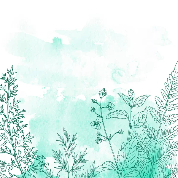 Flowers Herbs Line Watercolor Background Color — Stockový vektor