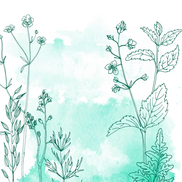 Flores Ervas Linha Aquarela Cor Fundo —  Vetores de Stock