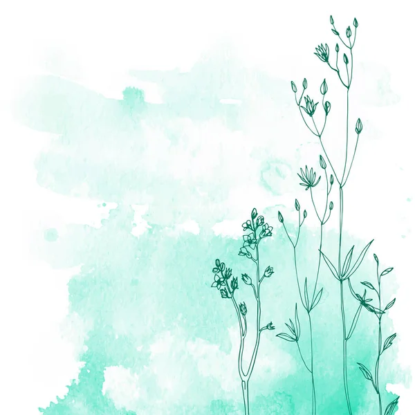 Blumen Und Kräuter Linie Auf Aquarell Hintergrundfarbe — Stockvektor