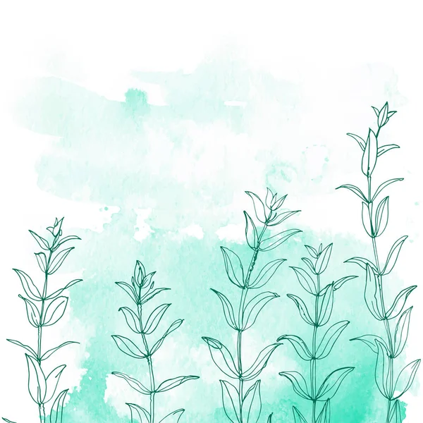 Flowers Herbs Line Watercolor Background Color — Stockový vektor