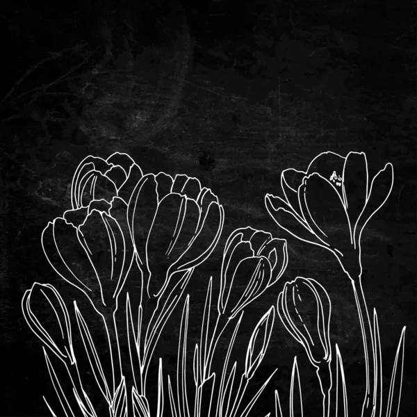 Цветы Травы Линию Черном Фоне Шифер Текстура — стоковый вектор