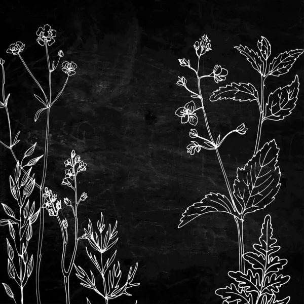 Flowers Herbs Line Black Background Slate Texture — Archivo Imágenes Vectoriales