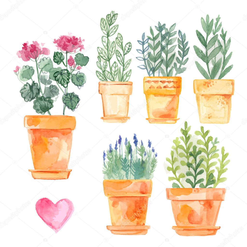 Flowers and herbs in ceramic pots in watercolor on a white background. Italian spices. Decor for garden and home. Watercolor