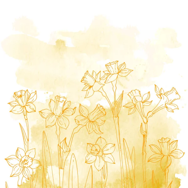 Flowers Herbs Line Watercolor Background Color — ストックベクタ