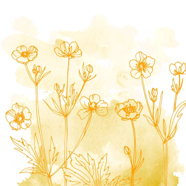 Virágok Fűszernövények Vonal Akvarell Háttér Szín — Stock Vector