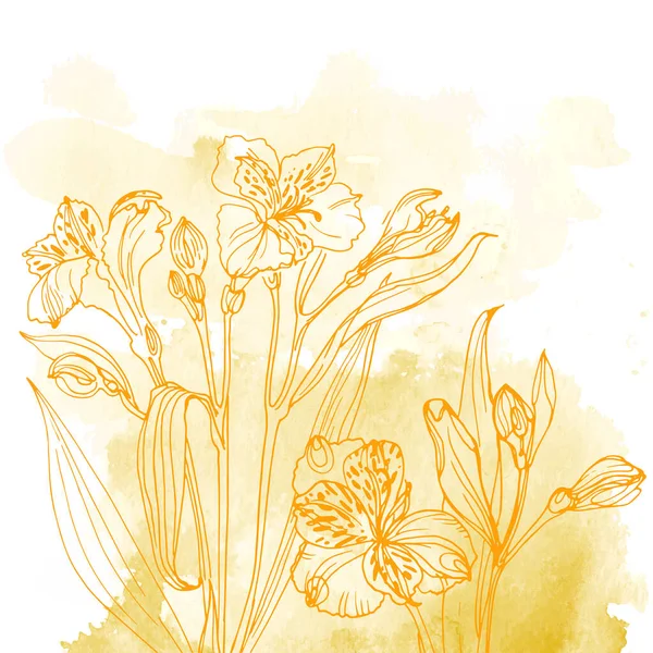 Blumen Und Kräuter Linie Auf Aquarell Hintergrundfarbe — Stockvektor
