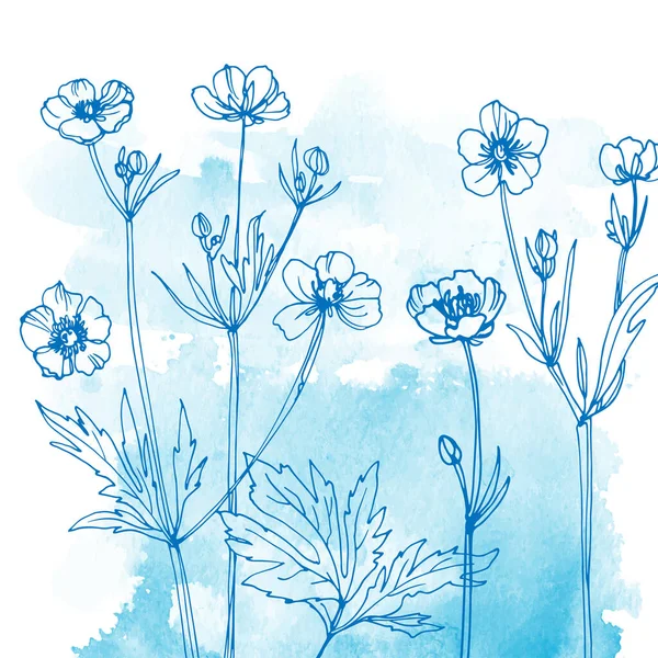 Λουλούδια Και Βότανα Γραμμή Στο Χρώμα Φόντου Ακουαρέλα — Διανυσματικό Αρχείο