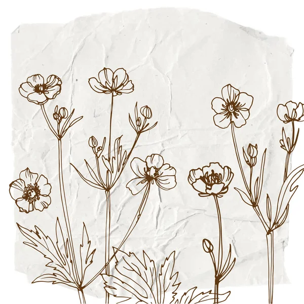 Λουλούδια Και Βότανα Γραμμή Στο Χρώμα Φόντου Ακουαρέλα — Διανυσματικό Αρχείο