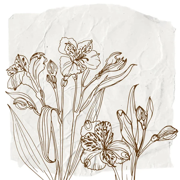 Flowers Herbs Line Watercolor Background Color — Archivo Imágenes Vectoriales