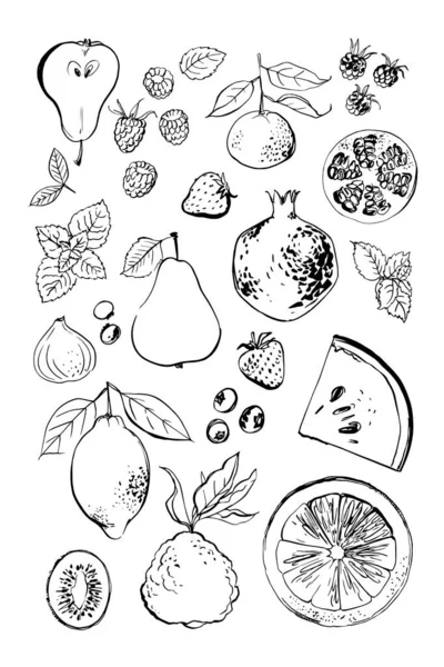 Poster Food Fruit Watercolor Ink Lemon Pomegranate Figs Berries Watermelon — Vector de stock