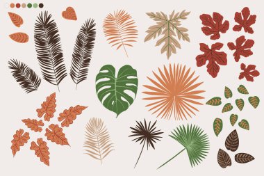 Tropiks bej renkli vektörü modern bırakıyor. Renk yeşili, trend süsü terra illüstrasyonu