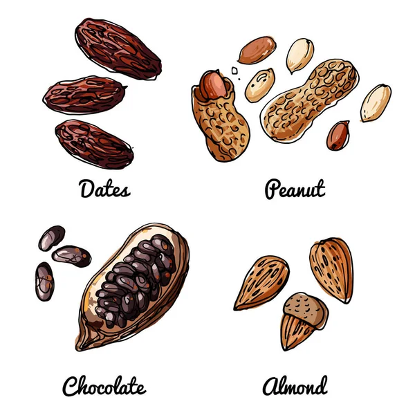 Fındık Ikonlarının Taşıyıcısı Renkli Gıda Ürünleri Taslağı Hurma Fıstık Çikolata — Stok Vektör