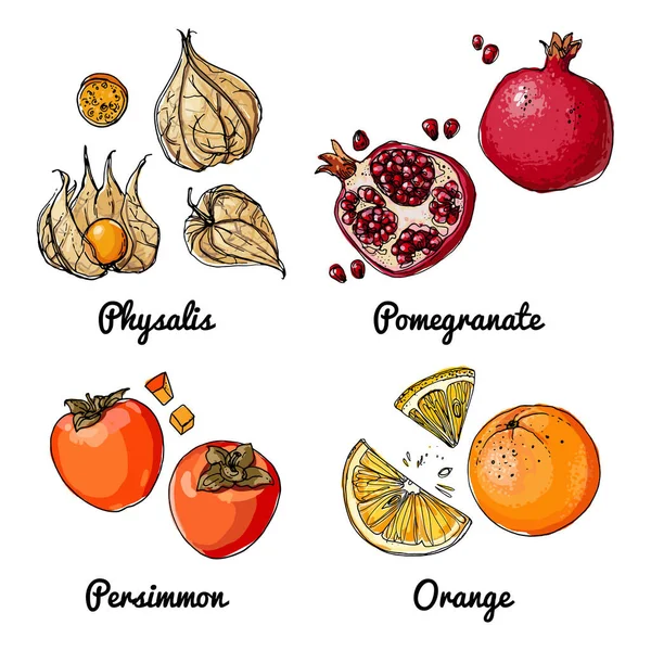 水果的载体食物图标 食品的彩绘草图 — 图库矢量图片