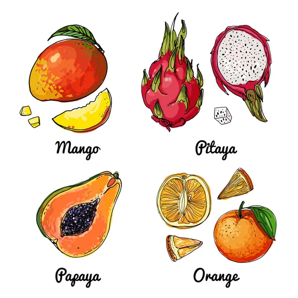 Vector voedsel pictogrammen van fruit. Gekleurde schets van voedingsmiddelen. Mango, pitaya, papaja, sinaasappel, drakenfruit — Stockvector