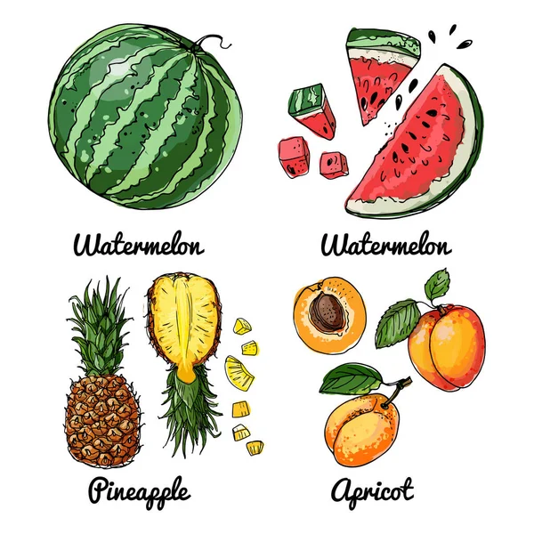Vektorové jídlo ikony ovoce. Barevný náčrt potravinářských výrobků. Meloun vodní, meruňka, ananas — Stockový vektor