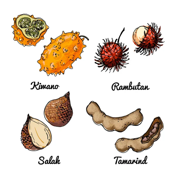 Ícones Comida Vetorial Frutas Desenho Colorido Produtos Alimentares Kiwano Rambutan — Vetor de Stock