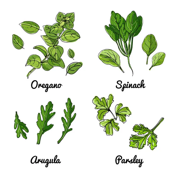 Vecteur Icônes Alimentaires Légumes Épices Herbes Croquis Coloré Des Produits — Image vectorielle