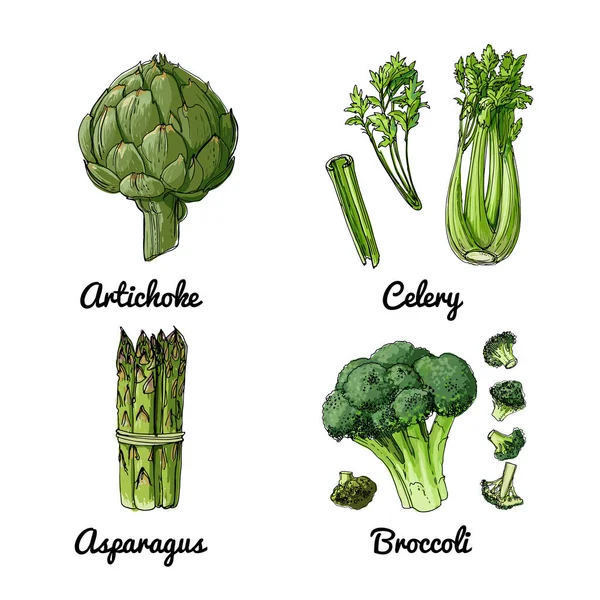 Vector Alimentos Iconos Verduras Especias Hierbas Esbozo Coloreado Productos Alimenticios — Vector de stock