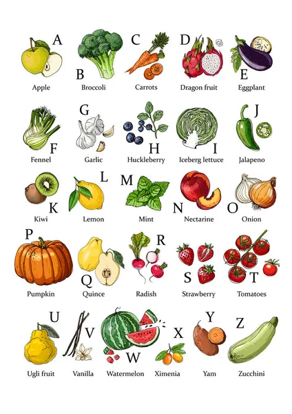 Engels Alfabet Van Groenten Fruit Vector Voedsel Pictogrammen Gekleurde Schets — Stockvector