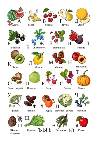 Russisches Alphabet Aus Gemüse Und Obst Vektor Lebensmittel Ikonen Farbige — Stockvektor