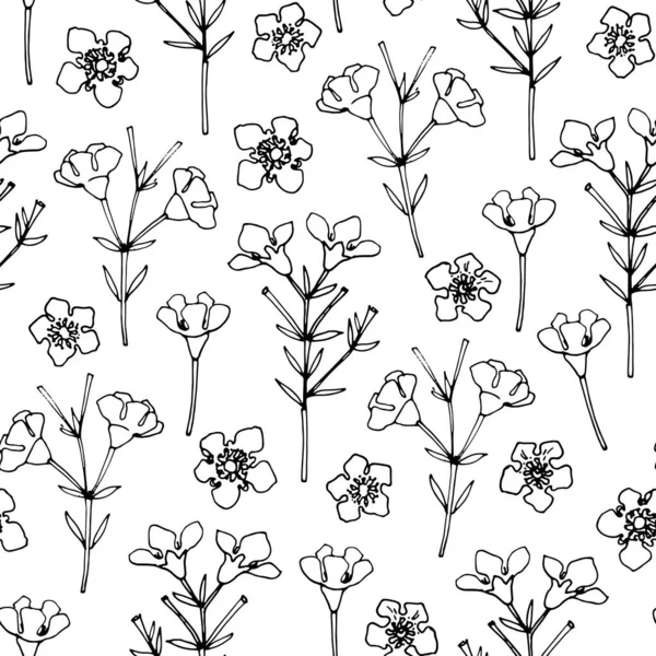 白色背景上的花的花型矢量草图 — 图库矢量图片