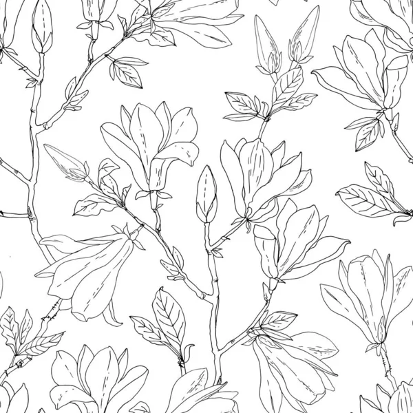 花型木兰花 白色背景上的花的矢量草图 — 图库矢量图片