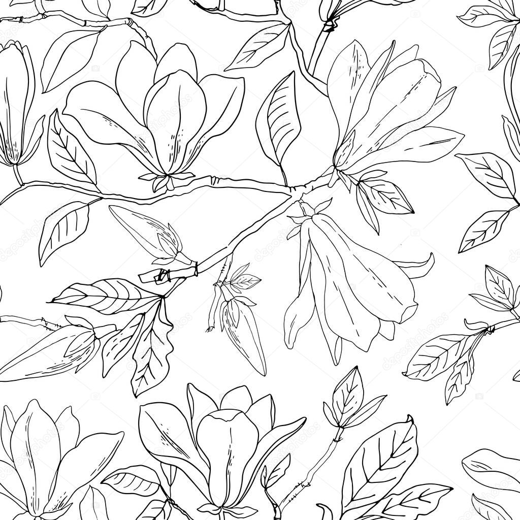 Flower pattern Magnolia. Vector sketch of flowers by line on a white background.