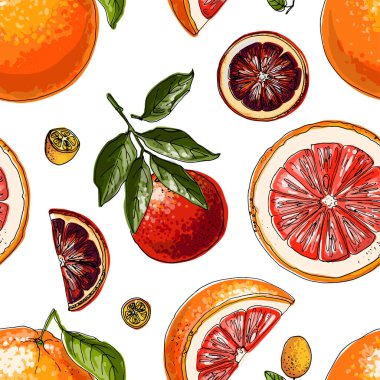 Turuncu turunçgil desenli. Vektör gıda skeci. Egzotik yemek çizimleri.