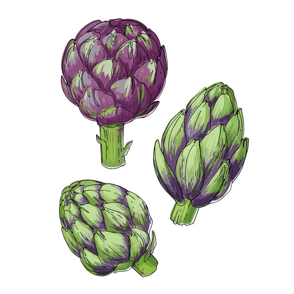 Alcachofra. Ícones de comida vetorial de verduras. Desenho colorido de produtos alimentares. — Vetor de Stock