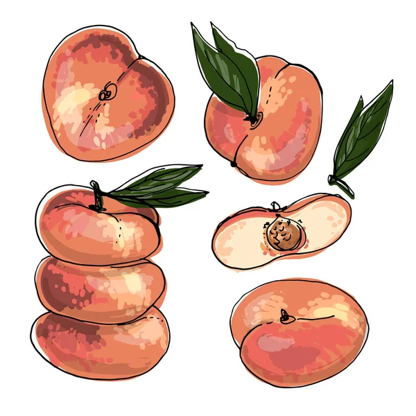 Ikon makanan vektor peach datar buah. Sketsa warna dari produk makanan. Persik Saturnus - Stok Vektor