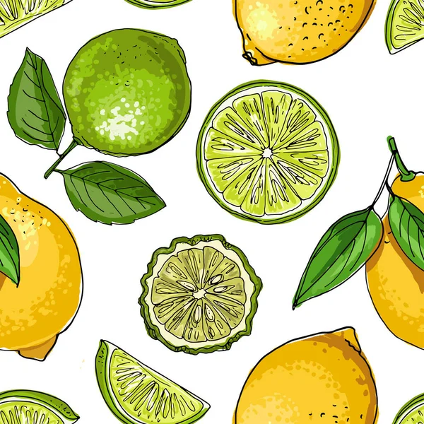 Citrusos narancsos minta. Vektoros kaja vázlat. Egzotikus élelmiszer-rajzok — Stock Vector