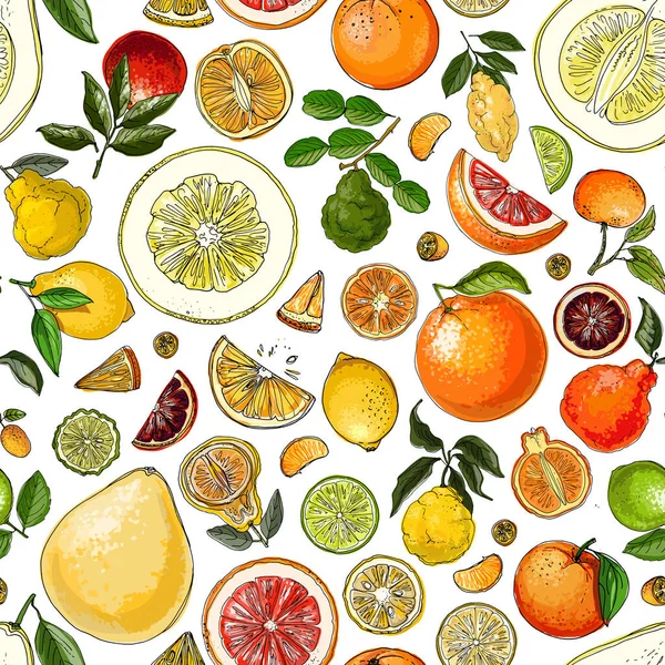 Patrón con cítricos naranja. Dibujo de comida vectorial. Dibujos de comida exótica — Archivo Imágenes Vectoriales